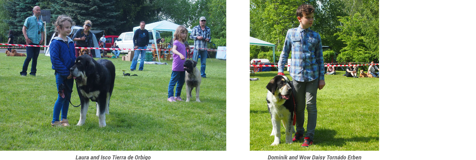 Club show of Moloss Club - Child and dog, Lali a Isco a Dominik a Daisy