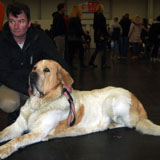Monty se zúčastnil mezinárodní výstavy psů Norimberg v Něměcku