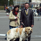Monty se zúčastnil mezinárodní výstavy psů Chemnitz v Něměcku