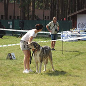 Klubová výstava Moloss Klub Slovensko