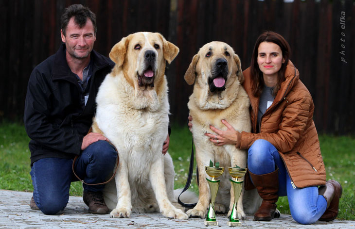 International dog show České Budějovice