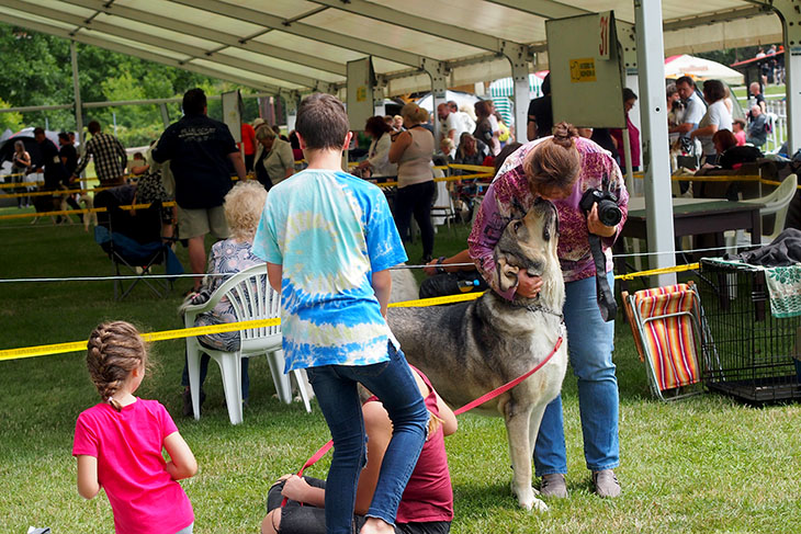 Exposition canine nationale tchèque de Mladá Boleslav