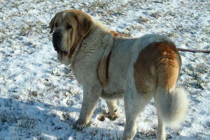 Monty fête ses 4 ans!