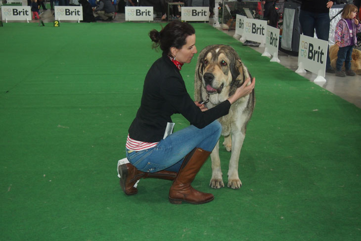 International show České Budějovice