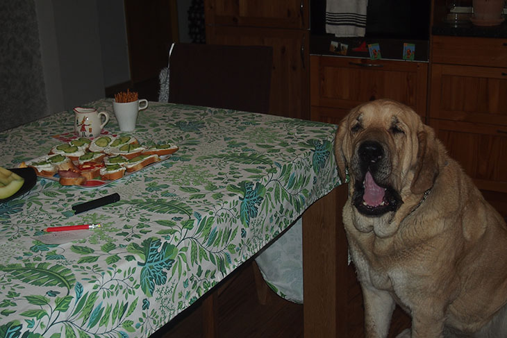 Tia celebró su segundo cumpleaños