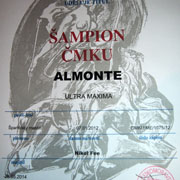 titul šampion ČMKU pro Španělského Mastina Almonte