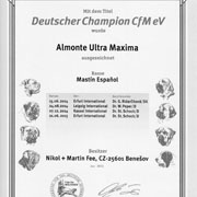 Champion de club en Allemagne